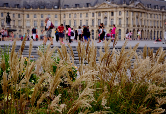 ville de Bordeaux1