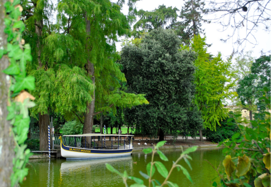 Bordeaux Visite (8)