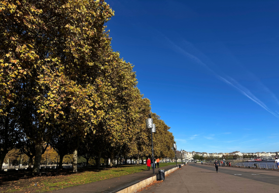 QUAIS DE BORDEAUX AUTOMNE