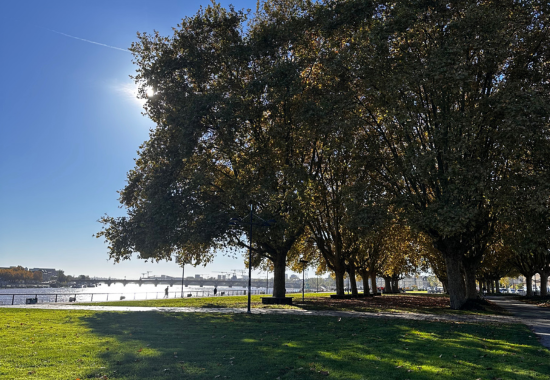 QUAIS DE BORDEAUX