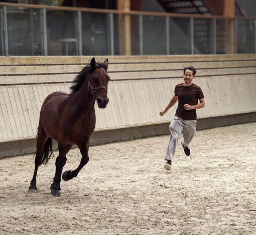 CA Deauville-5bis