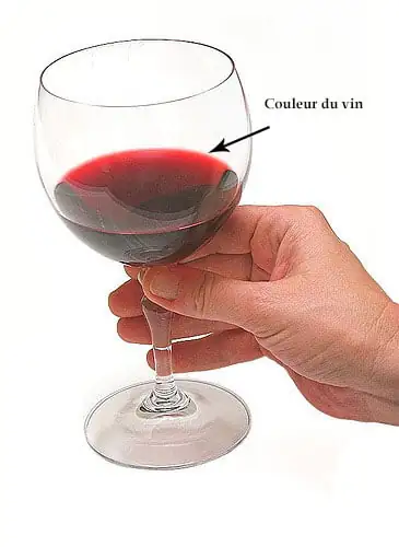 Comment déguster un vin de Bordeaux ? 4 couleur