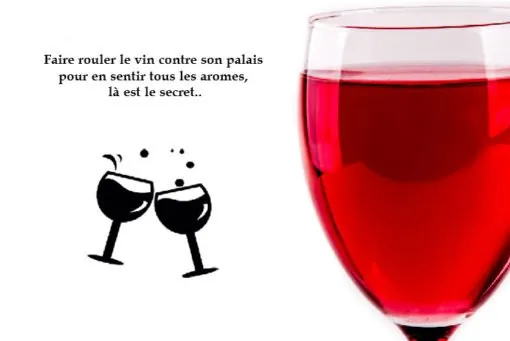 Comment déguster un vin de Bordeaux ? 7 degustation