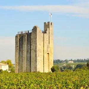 Tour et vignoble de Saint-Émilion