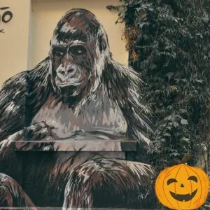 Épreuve magique pendant le jeu spécial Halloween
