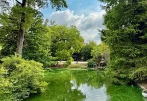 Découverte scolaire du Jardin public de Bordeaux